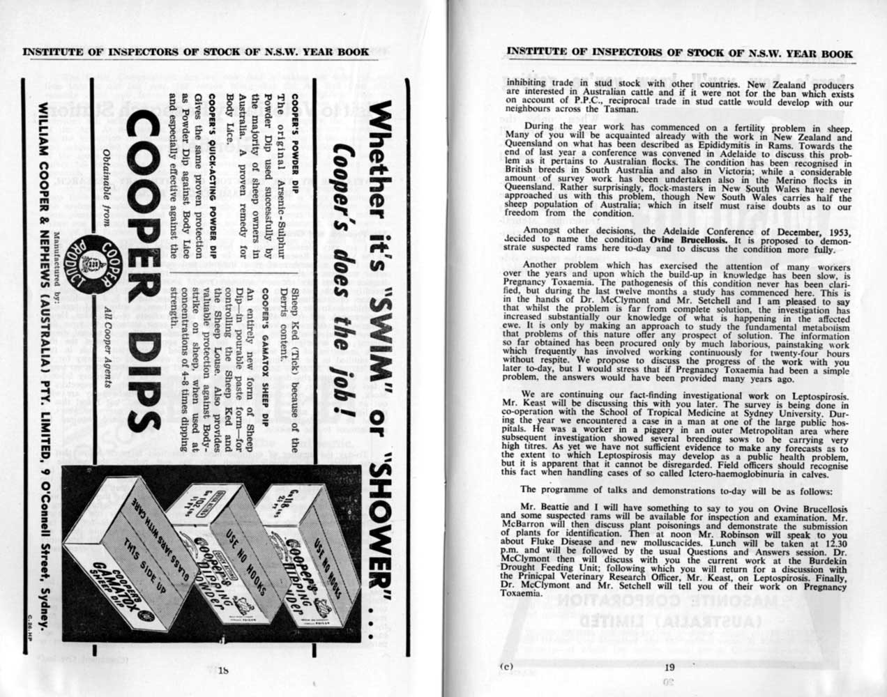 1954 Page 18 19